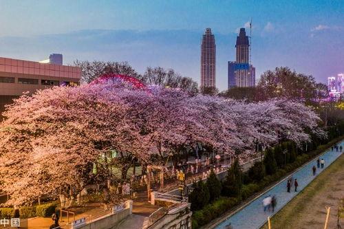 抖音网红操场吃瓜,揭秘校园生活趣味瞬间