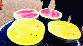 缅北吃瓜爆料,吃瓜爆料背后的真相与内幕