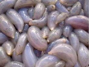 秦皇岛吃瓜网最新消息,最新热点事件深度解析